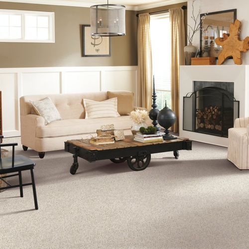 Battlefords Flooring Centre providing stain-resistant pet proof carpet in North Battlefords, SK- Restful Style-Catalina
